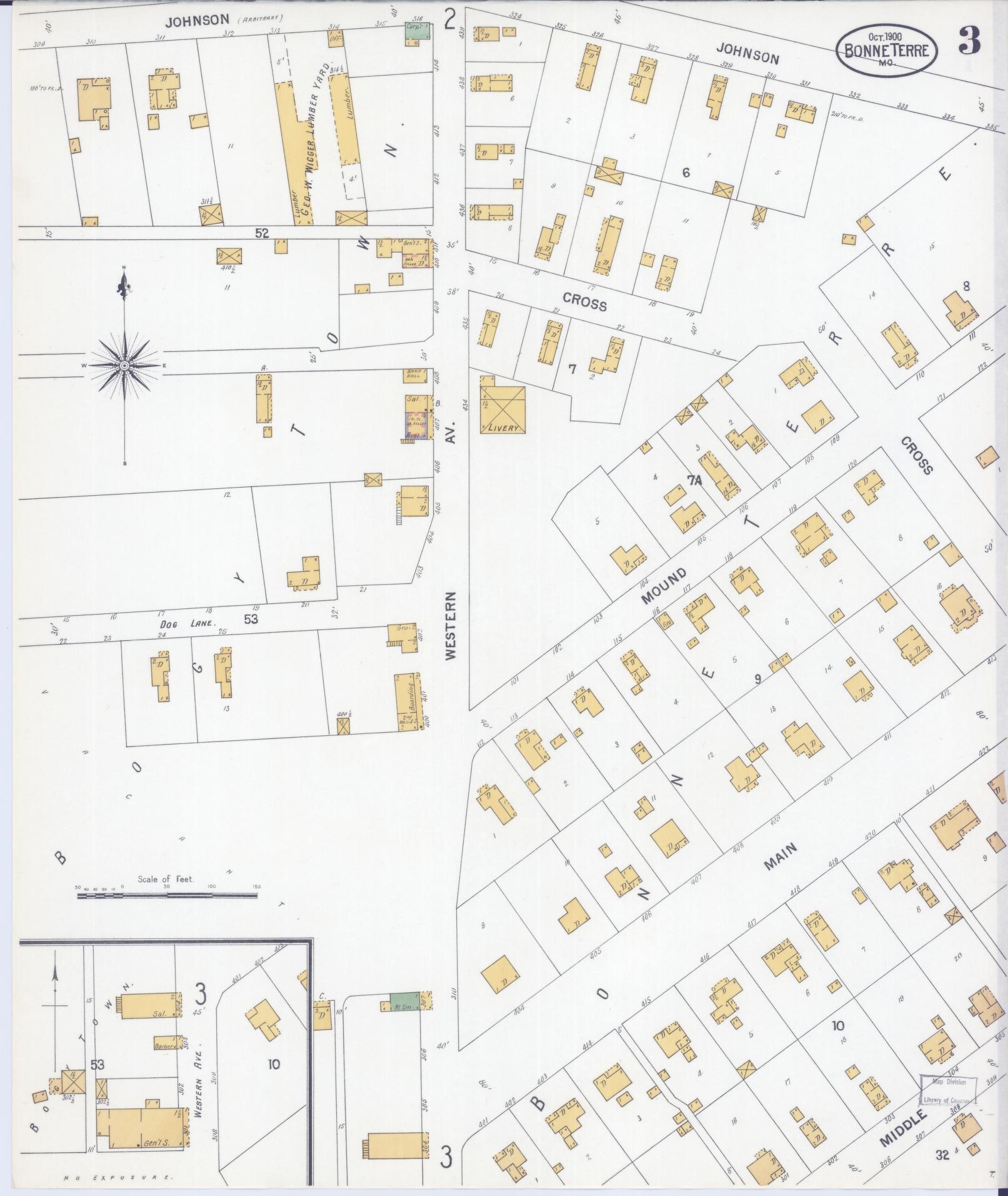 Sanborn Fire Insurance Map from Bonne Terre, Saint Francois County, Missouri (1900), Sheet #0003 - Historic Sanborn Fire Insurance Map Print, vintage old map wall art, antique decor, genealogy gift, Missouri Missouri map