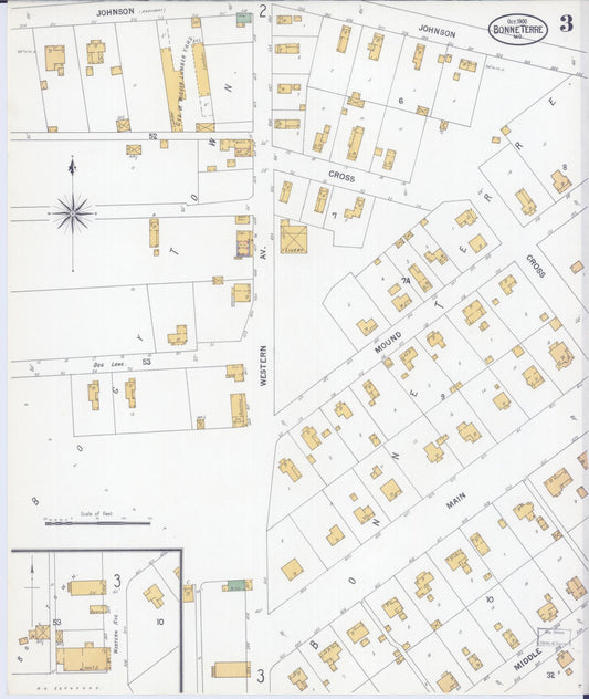 Sanborn Fire Insurance Map from Bonne Terre, Saint Francois County, Missouri (1900), Sheet #0003 - Historic Sanborn Fire Insurance Map Print, vintage old map wall art, antique decor, genealogy gift, Missouri Missouri map