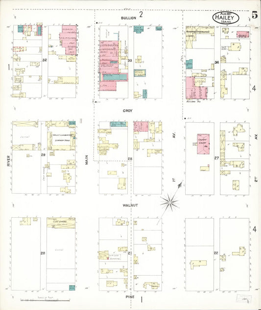 Sanborn Fire Insurance Map from Hailey, Blaine County, Idaho (1897), Sheet #0005 - Historic Sanborn Fire Insurance Map Print, vintage old map wall art, antique decor, genealogy gift, Idaho Idaho map