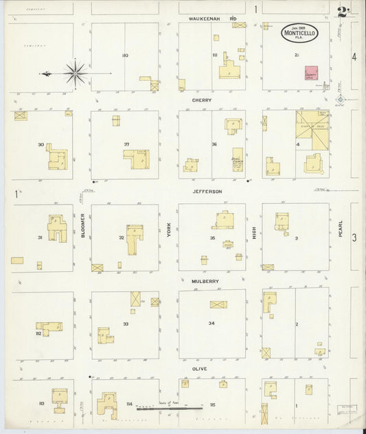 Sanborn Fire Insurance Map from Monticello, Jefferson County, Florida (1909), Sheet #0002 - Historic Sanborn Fire Insurance Map Print, vintage old map wall art, antique decor, genealogy gift, Florida Florida map