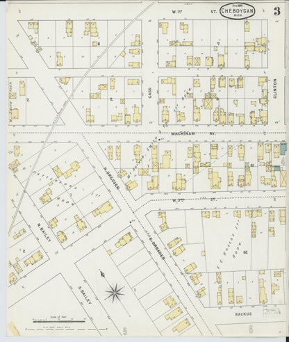 Sanborn Fire Insurance Map from Cheboygan, Cheboygan County, Michigan (1895), Sheet #0003 - Complete Map Set gallery image, historic Sanborn map, vintage wall art, Michigan Michigan