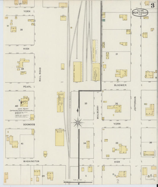 Sanborn Fire Insurance Map from Monticello, Jefferson County, Florida (1895), Sheet #0003 - Historic Sanborn Fire Insurance Map Print, vintage old map wall art, antique decor, genealogy gift, Florida Florida map