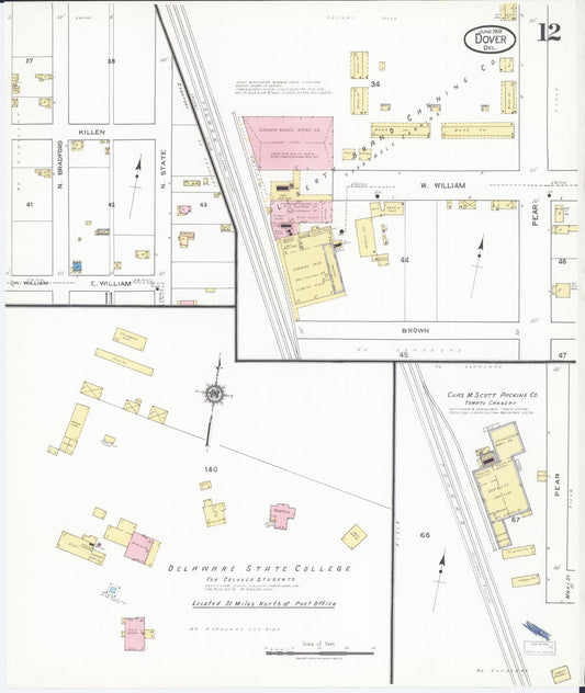 Sanborn Fire Insurance Map from Dover, Kent County, Delaware (1919), Sheet #0012 - Historic Sanborn Fire Insurance Map Print, vintage old map wall art, antique decor, genealogy gift, Delaware Delaware map