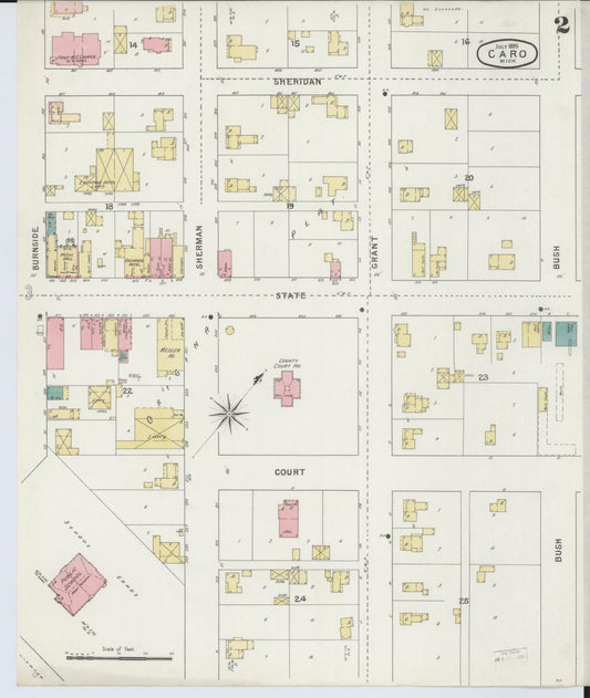 Sanborn Fire Insurance Map from Caro, Tuscola County, Michigan (1895), Sheet #0002 - Historic Sanborn Fire Insurance Map Print, vintage old map wall art, antique decor, genealogy gift, Michigan Michigan map