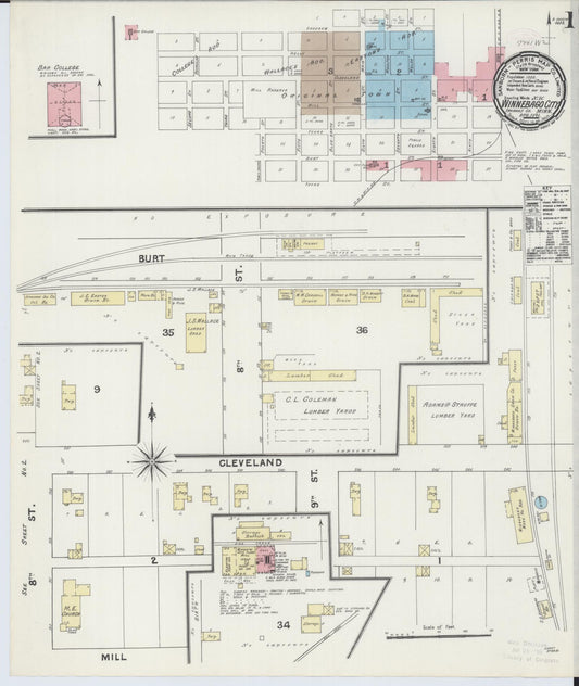 Sanborn Fire Insurance Map from Winnebago, Faribault County, Minnesota (1891), Sheet #0001 - Complete Map Set gallery image, historic Sanborn map, vintage wall art, Minnesota Minnesota