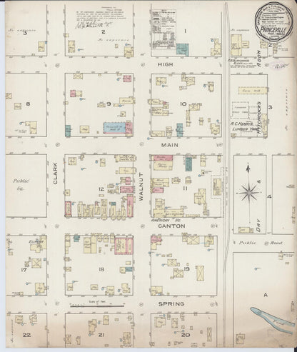 Sanborn Fire Insurance Map from Princeville, Peoria County, Illinois (1886), Sheet #0001 - Historic Sanborn Fire Insurance Map Print, vintage old map wall art, antique decor, genealogy gift, Illinois Illinois map