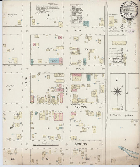 Sanborn Fire Insurance Map from Princeville, Peoria County, Illinois (1886), Sheet #0001 - Historic Sanborn Fire Insurance Map Print, vintage old map wall art, antique decor, genealogy gift, Illinois Illinois map