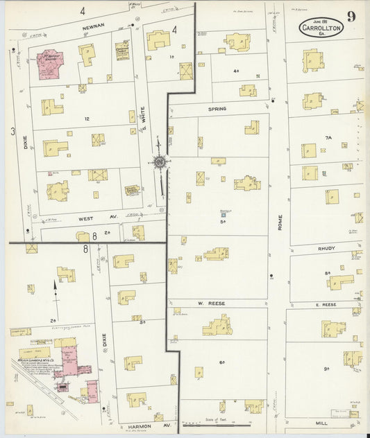 Sanborn Fire Insurance Map from Carrollton, Carroll County, Georgia (1911), Sheet #0009 - Historic Sanborn Fire Insurance Map Print, vintage old map wall art, antique decor, genealogy gift, Georgia Georgia map