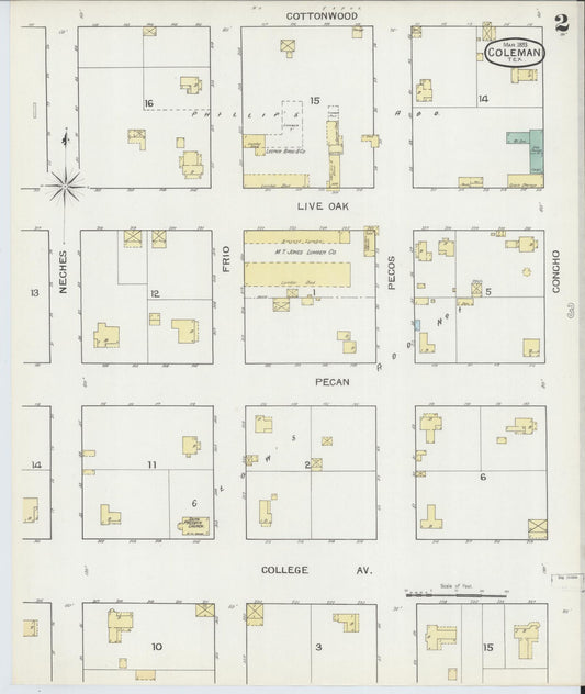 Sanborn Fire Insurance Map from Coleman, Coleman County, Texas (1893), Sheet #0002 - Historic Sanborn Fire Insurance Map Print, vintage old map wall art, antique decor, genealogy gift, Texas Texas map