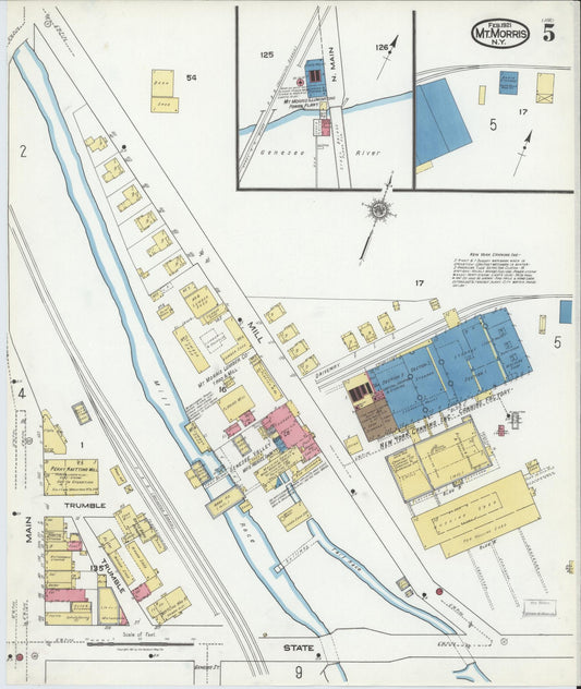 Sanborn Fire Insurance Map from Mount Morris, Livingston County, New York (1921), Sheet #0005 - Historic Sanborn Fire Insurance Map Print, vintage old map wall art, antique decor, genealogy gift, New York New York map