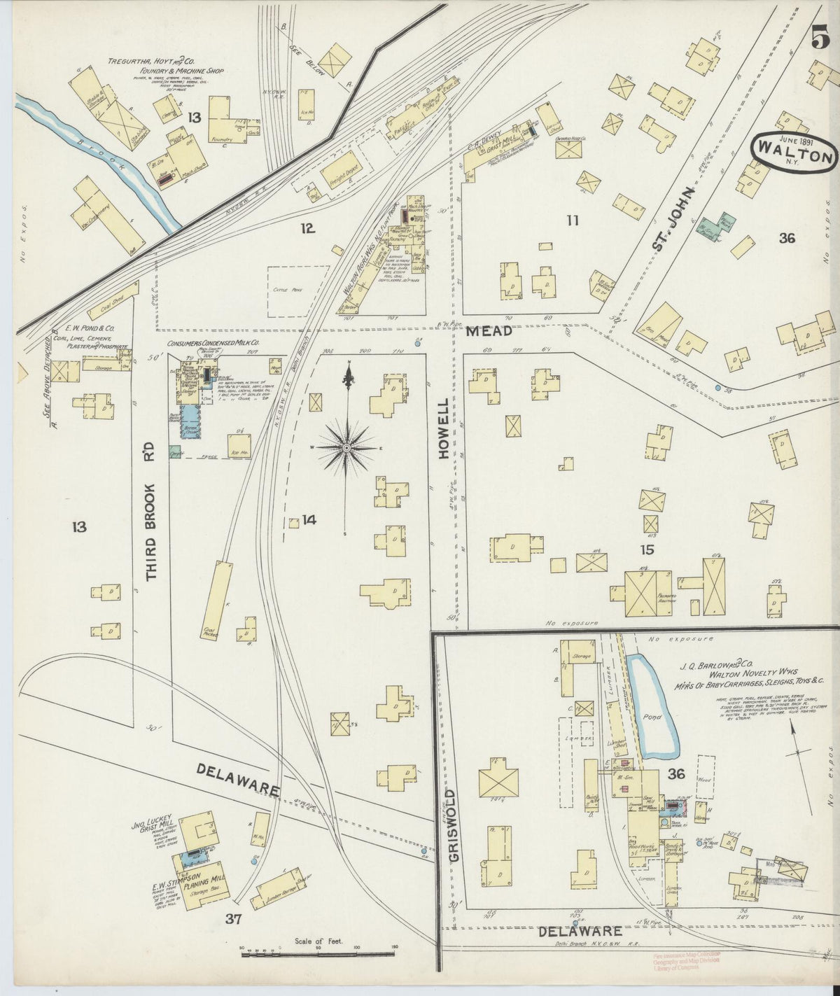 Sanborn Fire Insurance Map from Walton, Delaware County, New York (1891), Sheet #0005 - Historic Sanborn Fire Insurance Map Print, vintage old map wall art, antique decor, genealogy gift, Walton Delaware map