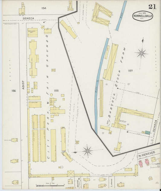 Sanborn Fire Insurance Map from Hornell, Steuben County, New York (1893), Sheet #0021 - Historic Sanborn Fire Insurance Map Print, vintage old map wall art, antique decor, genealogy gift, New York New York map