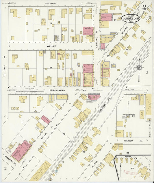 Sanborn Fire Insurance Map from Dunnellon, Marion County, Florida (1917), Sheet #0002 - Historic Sanborn Fire Insurance Map Print, vintage old map wall art, antique decor, genealogy gift, Florida Florida map