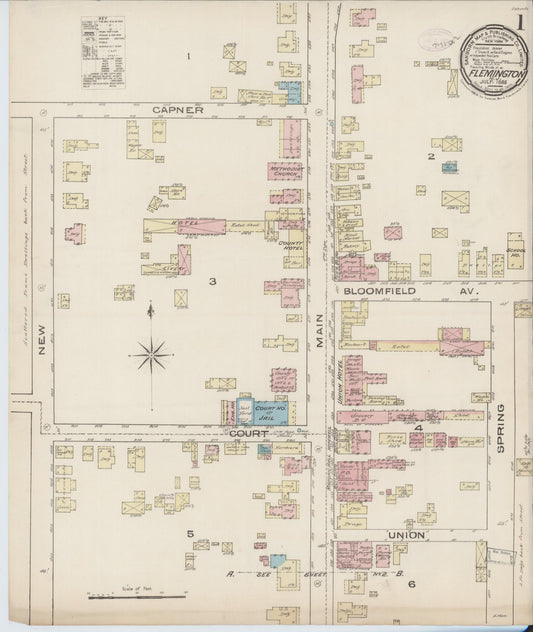 Sanborn Fire Insurance Map from Flemington, Hunterdon County, New Jersey (1885), Sheet #0001 - Historic Sanborn Fire Insurance Map Print, vintage old map wall art, antique decor, genealogy gift, New Jersey New Jersey map