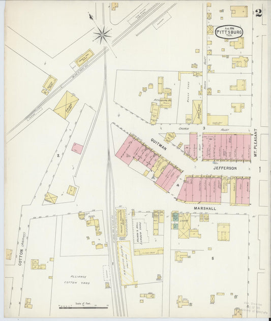 Sanborn Fire Insurance Map from Pittsburg, Camp County, Texas (1896), Sheet #0002 - Historic Sanborn Fire Insurance Map Print, vintage old map wall art, antique decor, genealogy gift, Texas Texas map