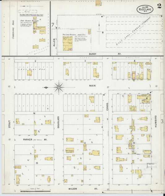 Sanborn Fire Insurance Map from Rice Lake, Barron County, Wisconsin (1899), Sheet #0002 - Historic Sanborn Fire Insurance Map Print, vintage old map wall art, antique decor, genealogy gift, Wisconsin Wisconsin map