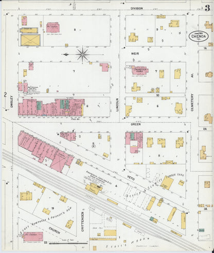 Sanborn Fire Insurance Map from Chenoa, McLean County, Illinois (1901), Sheet #0003 - Historic Sanborn Fire Insurance Map Print, vintage old map wall art, antique decor, genealogy gift, Illinois Illinois map