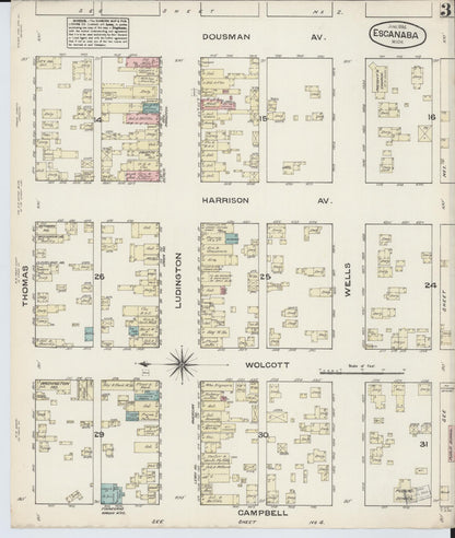 Sanborn Fire Insurance Map from Escanaba, Delta County, Michigan (1884), Sheet #0003 - Complete Map Set gallery image, historic Sanborn map, vintage wall art, Michigan Michigan