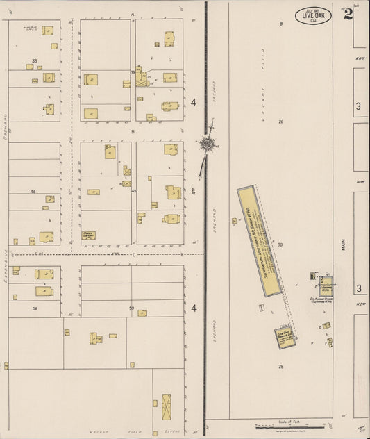 Sanborn Fire Insurance Map from Live Oak, Sutter County, California (1921), Sheet #0002 - Historic Sanborn Fire Insurance Map Print, vintage old map wall art, antique decor, genealogy gift, California California map