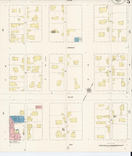 Sanborn Fire Insurance Map from Hailey, Blaine County, Idaho (1920), Sheet #0005 - Historic Sanborn Fire Insurance Map Print, vintage old map wall art, antique decor, genealogy gift, Idaho Idaho map