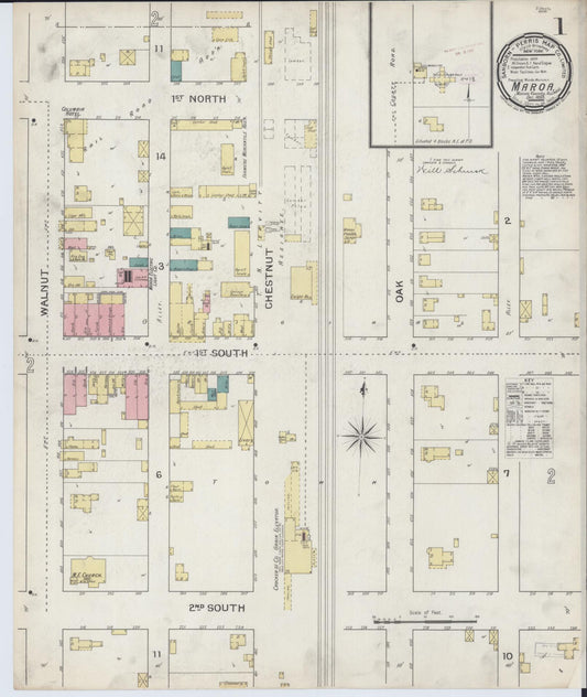 Sanborn Fire Insurance Map from Maroa, Macon County, Illinois (1893), Sheet #0001 - Historic Sanborn Fire Insurance Map Print, vintage old map wall art, antique decor, genealogy gift, Illinois Illinois map