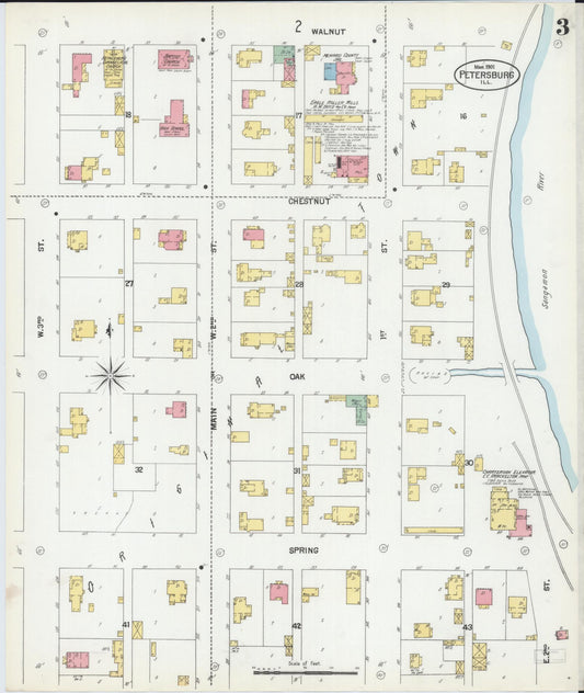 Sanborn Fire Insurance Map from Petersburg, Menard County, Illinois (1901), Sheet #0003 - Historic Sanborn Fire Insurance Map Print, vintage old map wall art, antique decor, genealogy gift, Illinois Illinois map