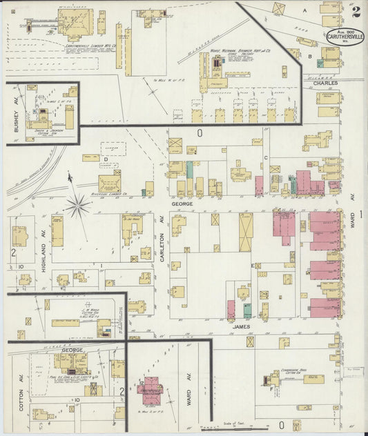 Sanborn Fire Insurance Map from Caruthersville, Pemiscot County, Missouri (1900), Sheet #0002 - Historic Sanborn Fire Insurance Map Print, vintage old map wall art, antique decor, genealogy gift, Missouri Missouri map