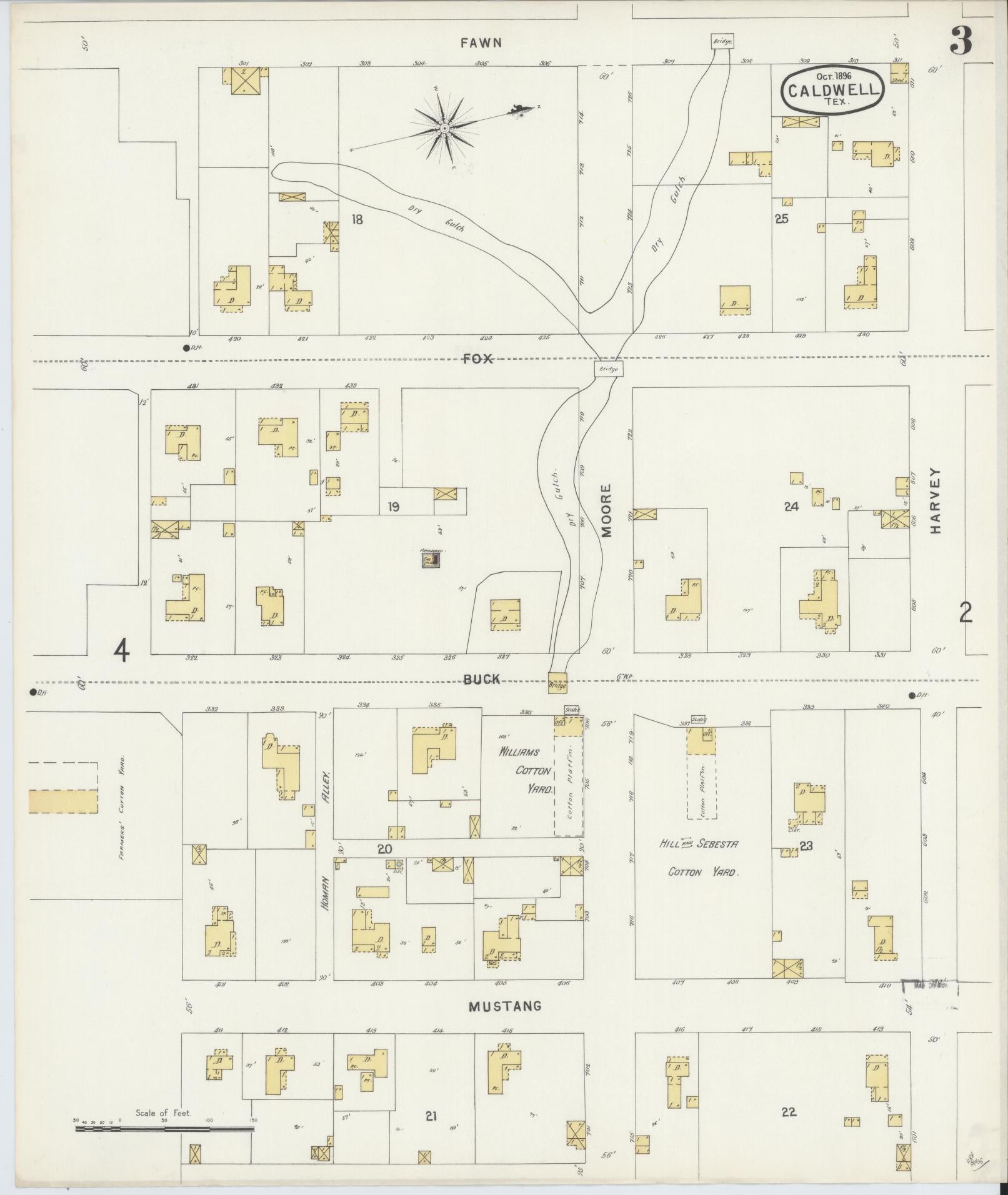 Sanborn Fire Insurance Map from Caldwell, Burleson County, Texas (1896), Sheet #0003 - Historic Sanborn Fire Insurance Map Print, vintage old map wall art, antique decor, genealogy gift, Texas Texas map