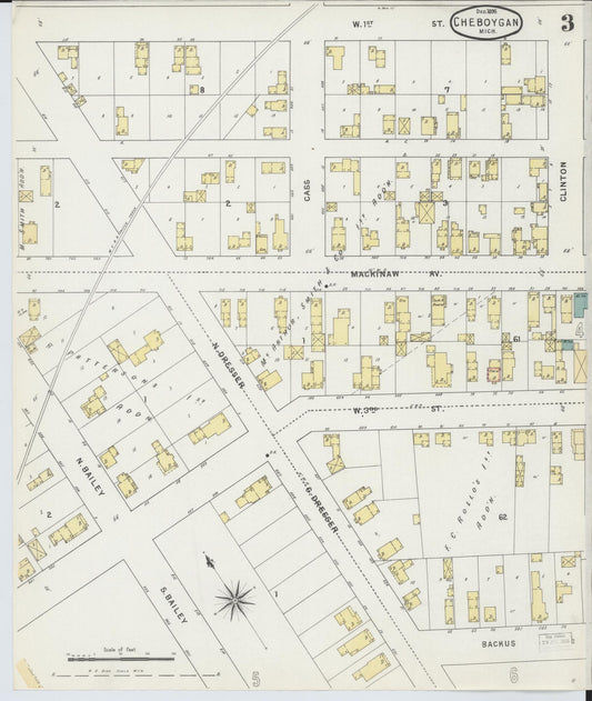 Sanborn Fire Insurance Map from Cheboygan, Cheboygan County, Michigan (1895), Sheet #0003 - Historic Sanborn Fire Insurance Map Print, vintage old map wall art, antique decor, genealogy gift, Michigan Michigan map