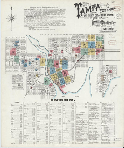 Sanborn Fire Insurance Map from Tampa, Hillsborough County, Florida (1899), Sheet #0001 - Historic Sanborn Fire Insurance Map Print, vintage old map wall art, antique decor, genealogy gift, Florida Florida map