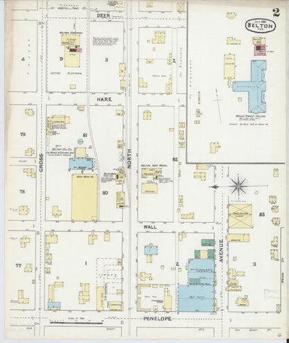 Sanborn Fire Insurance Map from Belton, Bell County, Texas (1891), Sheet #0002 - Historic Sanborn Fire Insurance Map Print, vintage old map wall art, antique decor, genealogy gift, Texas Texas map