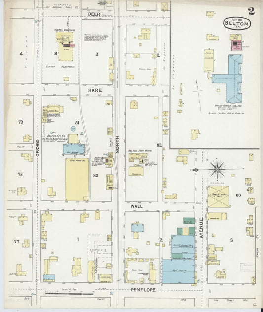 Sanborn Fire Insurance Map from Belton, Bell County, Texas (1891), Sheet #0002 - Historic Sanborn Fire Insurance Map Print, vintage old map wall art, antique decor, genealogy gift, Texas Texas map