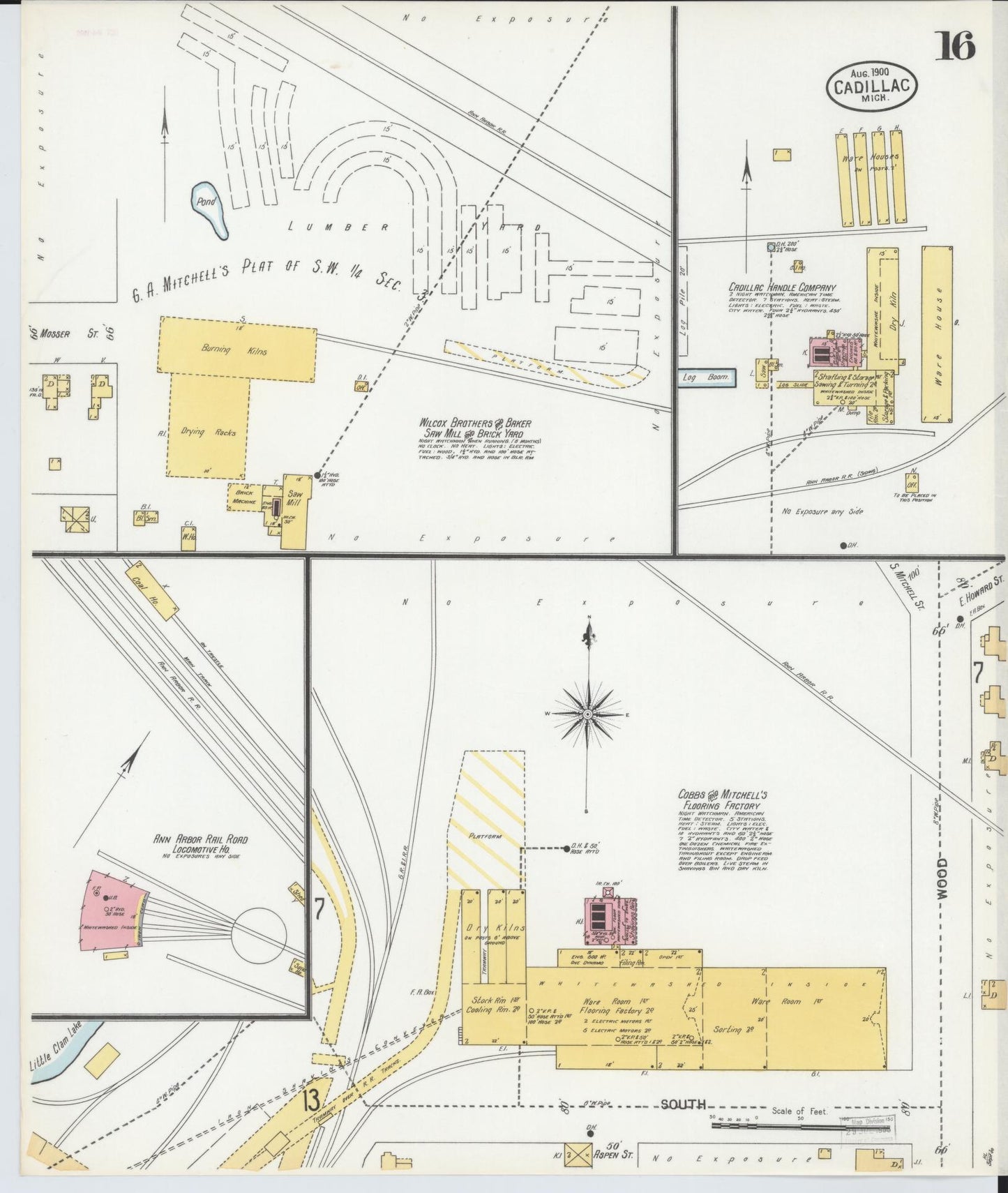 Sanborn Fire Insurance Map from Cadillac, Wexford County, Michigan (1900), Sheet #0016 - Historic Sanborn Fire Insurance Map Print, vintage old map wall art, antique decor, genealogy gift, Michigan Michigan map