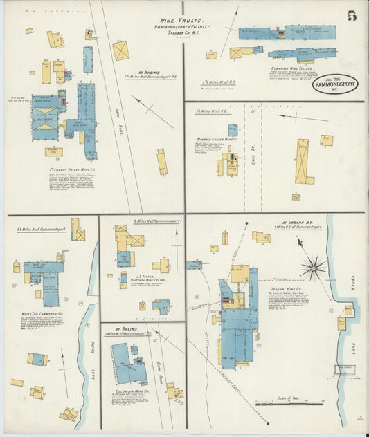 Sanborn Fire Insurance Map from Hammondsport, Steuben County, New York (1905), Sheet #0005 - Historic Sanborn Fire Insurance Map Print, vintage old map wall art, antique decor, genealogy gift, New York New York map