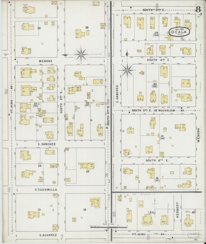 Sanborn Fire Insurance Map from Ocala, Marion County, Florida (1895), Sheet #0008 - Historic Sanborn Fire Insurance Map Print, vintage old map wall art, antique decor, genealogy gift, Florida Florida map