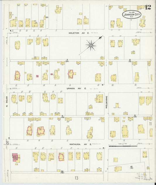 Sanborn Fire Insurance Map from Johnson City, Washington County, Tennessee (1908), Sheet #0012 - Historic Sanborn Fire Insurance Map Print, vintage old map wall art, antique decor, genealogy gift, Tennessee Tennessee map