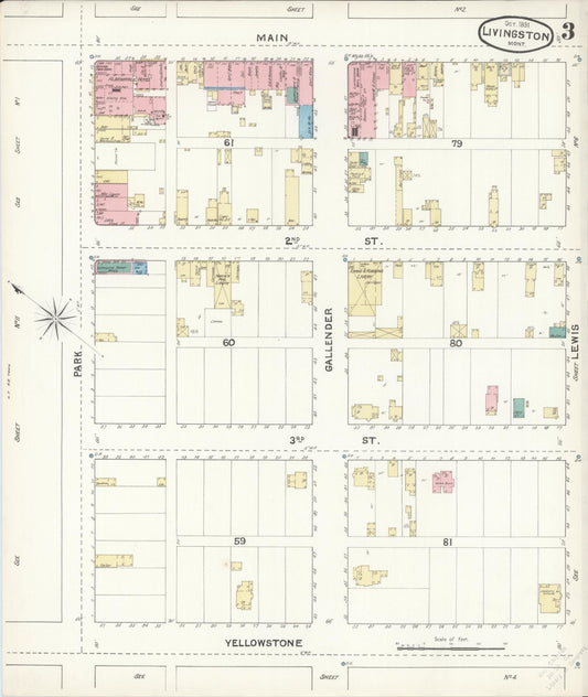 Sanborn Fire Insurance Map from Livingston, Park County, Montana (1891), Sheet #0003 - Historic Sanborn Fire Insurance Map Print, vintage old map wall art, antique decor, genealogy gift, Montana Montana map