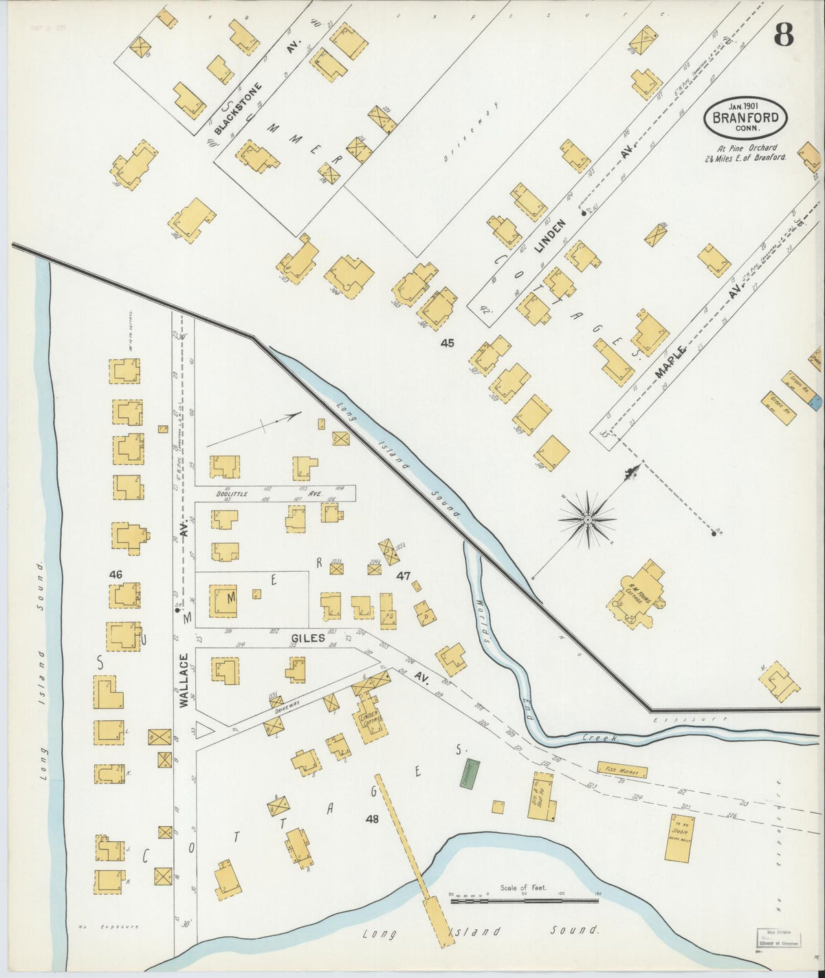 Sanborn Fire Insurance Map from Branford, New Haven County, Connecticut (1901), Sheet #0008 - Historic Sanborn Fire Insurance Map Print, vintage old map wall art, antique decor, genealogy gift, Connecticut Connecticut map