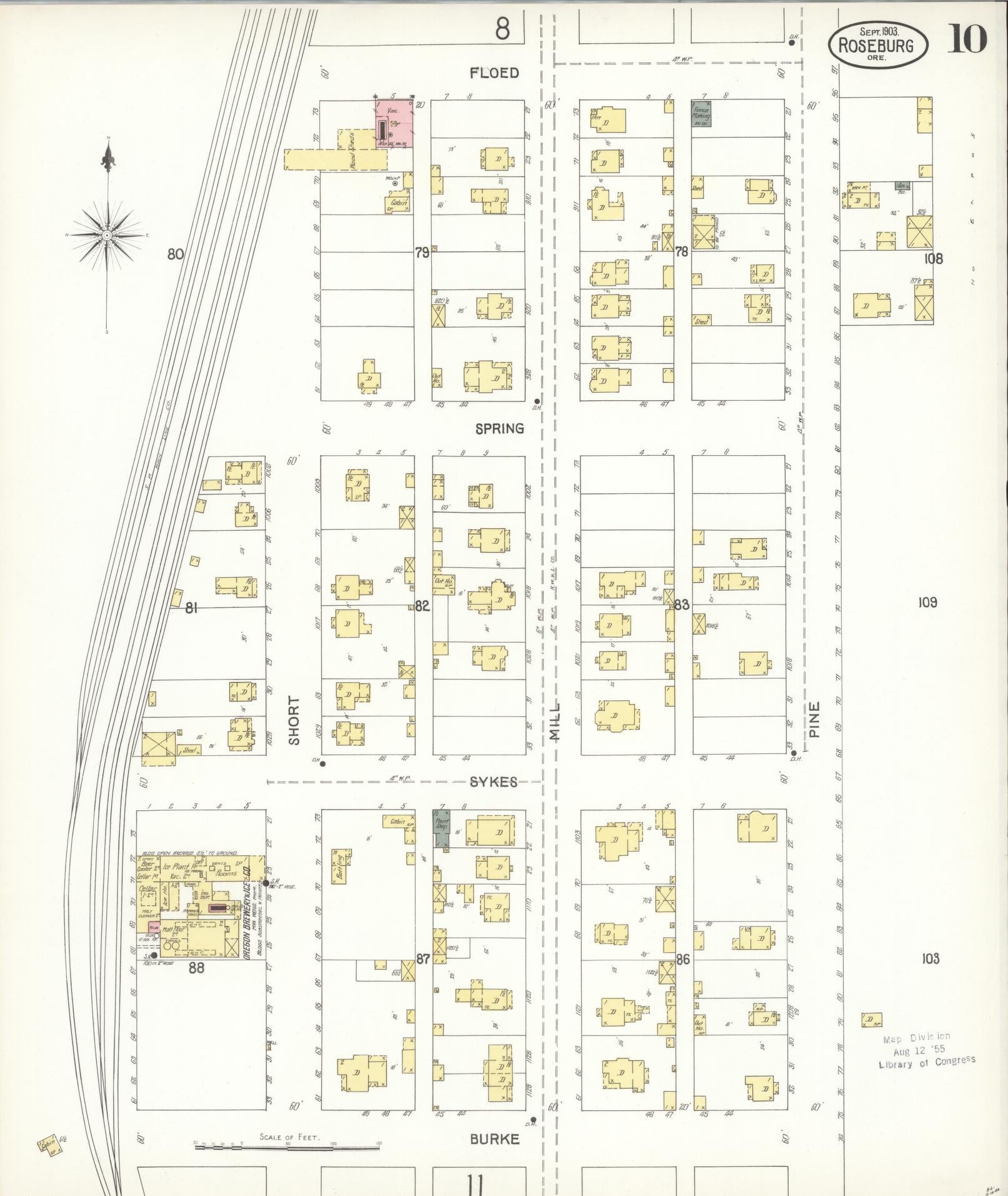Sanborn Fire Insurance Map from Roseburg, Douglas County, Oregon (1903), Sheet #0010 - Historic Sanborn Fire Insurance Map Print, vintage old map wall art, antique decor, genealogy gift, Oregon Oregon map