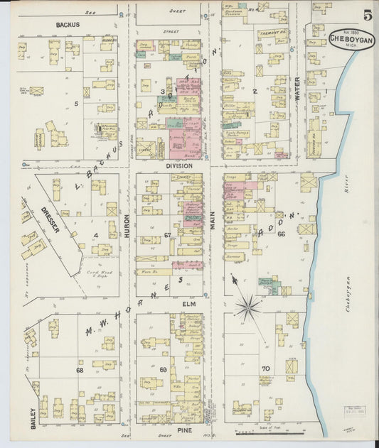 Sanborn Fire Insurance Map from Cheboygan, Cheboygan County, Michigan (1890), Sheet #0005 - Historic Sanborn Fire Insurance Map Print, vintage old map wall art, antique decor, genealogy gift, Michigan Michigan map