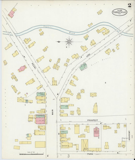 Sanborn Fire Insurance Map from Forestville, Chautauqua County, New York (1898), Sheet #0002 - Historic Sanborn Fire Insurance Map Print, vintage old map wall art, antique decor, genealogy gift, New York New York map