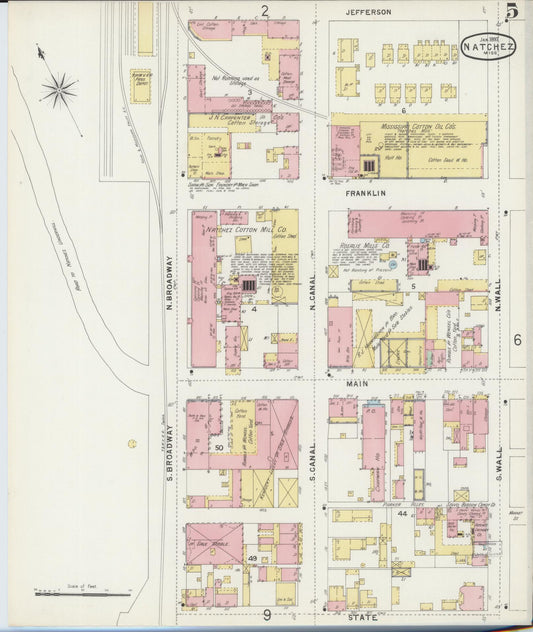 Sanborn Fire Insurance Map from Natchez, Adams County, Mississippi (1897), Sheet #0005 - Historic Sanborn Fire Insurance Map Print, vintage old map wall art, antique decor, genealogy gift, Mississippi Mississippi map