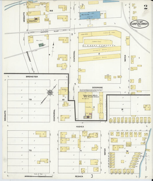 Sanborn Fire Insurance Map from Corpus Christi, Nueces County, Texas (1909), Sheet #0002 - Historic Sanborn Fire Insurance Map Print, vintage old map wall art, antique decor, genealogy gift, Texas Texas map