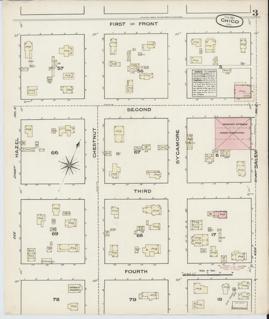 Sanborn Fire Insurance Map from Chico, Butte County, California (1884), Sheet #0003 - Historic Sanborn Fire Insurance Map Print, vintage old map wall art, antique decor, genealogy gift, California California map