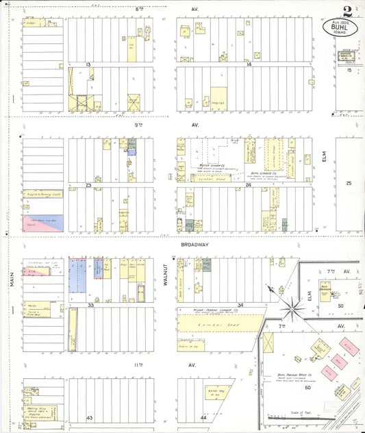 Sanborn Fire Insurance Map from Buhl, Twin Falls County, Idaho (1909), Sheet #0002 - Historic Sanborn Fire Insurance Map Print, vintage old map wall art, antique decor, genealogy gift, Falls Idaho map