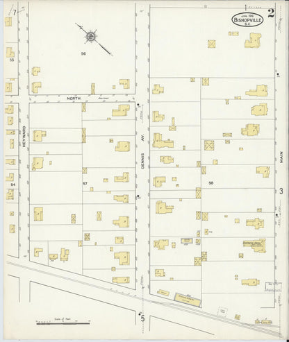 Sanborn Fire Insurance Map from Bishopville, Lee County, South Carolina (1916), Sheet #0002 - Complete Map Set gallery image, historic Sanborn map, vintage wall art, South Carolina South Carolina