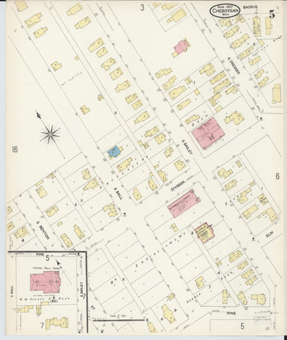 Sanborn Fire Insurance Map from Cheboygan, Cheboygan County, Michigan (1907), Sheet #0005 - Complete Map Set gallery image, historic Sanborn map, vintage wall art, Michigan Michigan