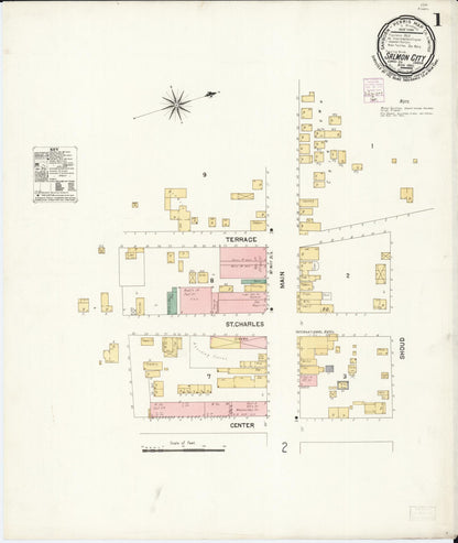 Sanborn Fire Insurance Map from Salmon City, Lemhi County, Idaho (1901), Sheet #0001 - Complete Map Set gallery image, historic Sanborn map, vintage wall art, Idaho Idaho