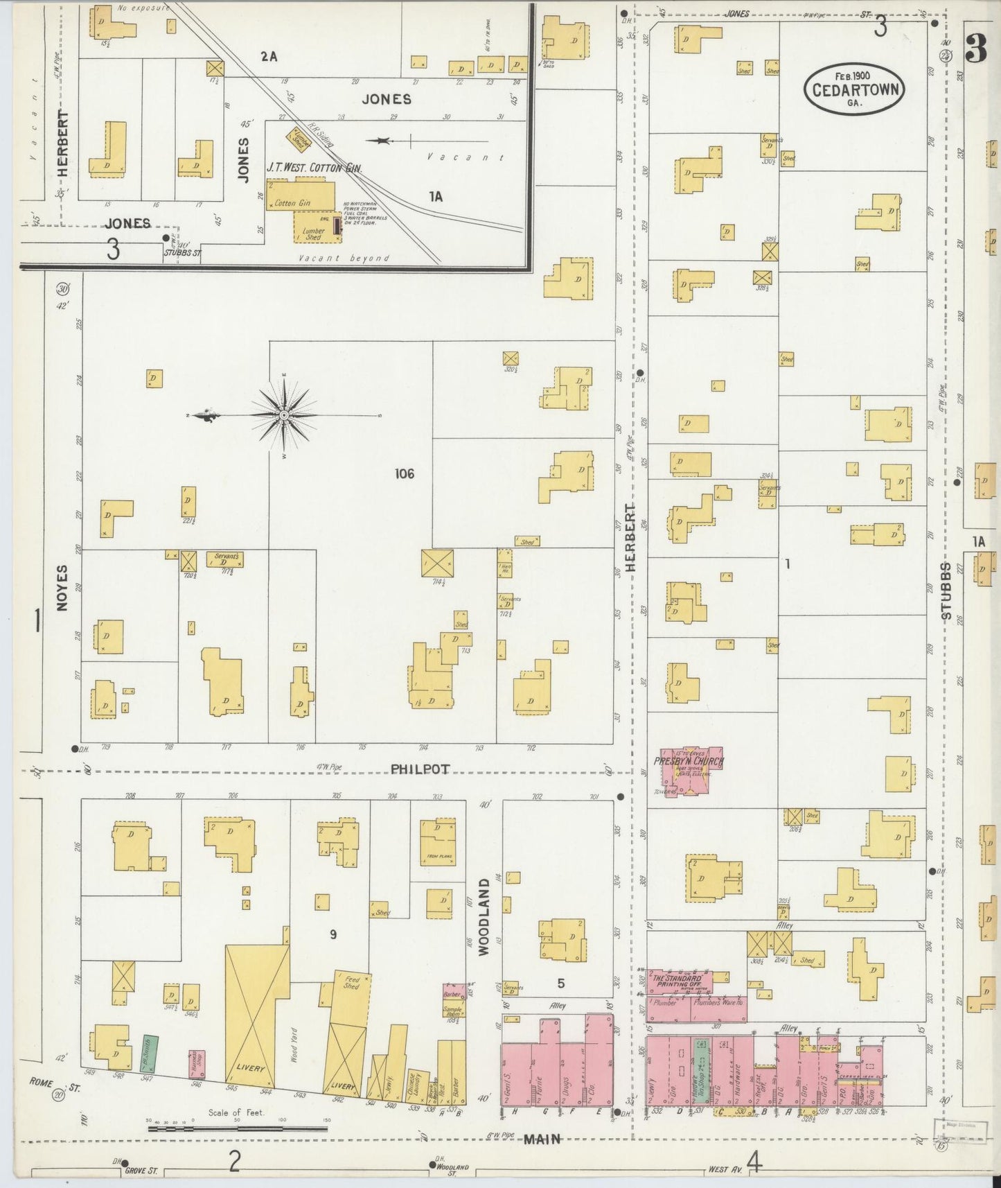 Sanborn Fire Insurance Map from Cedartown, Polk County, Georgia (1900), Sheet #0003 - Historic Sanborn Fire Insurance Map Print, vintage old map wall art, antique decor, genealogy gift, Georgia Georgia map