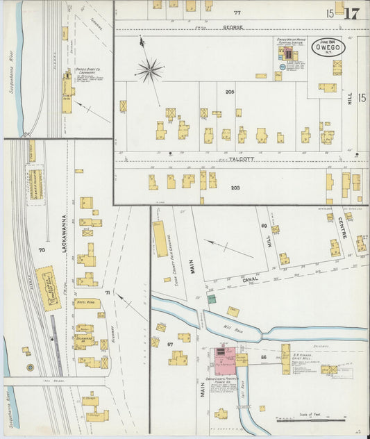 Sanborn Fire Insurance Map from Owego, Tioga County, New York (1904), Sheet #0017 - Historic Sanborn Fire Insurance Map Print, vintage old map wall art, antique decor, genealogy gift, New York New York map